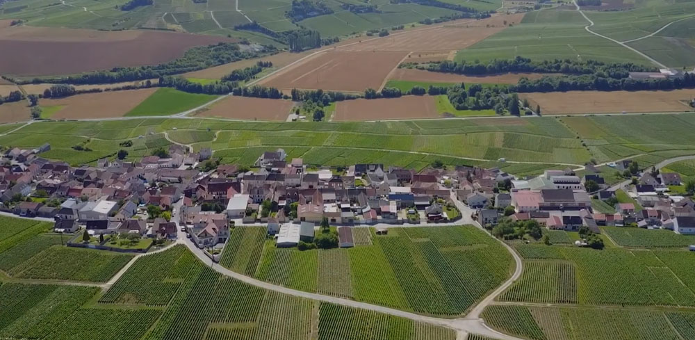 l’exploitation Champagne Le Gouive Père & Fils à Monthelon